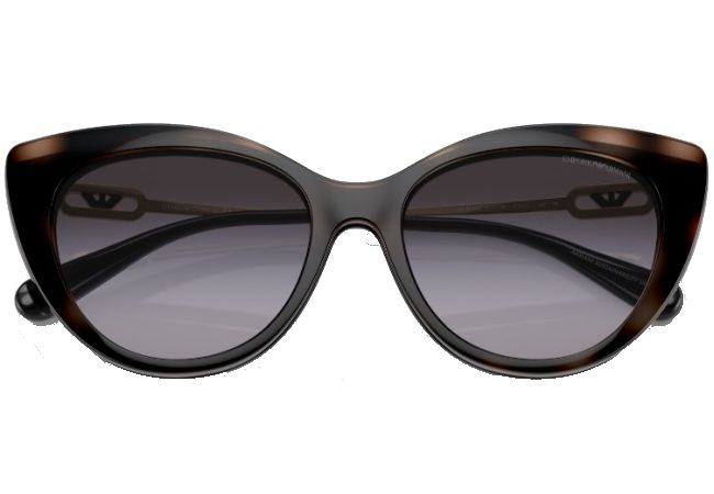 EMPORIO ARMANI 4213U 50171W