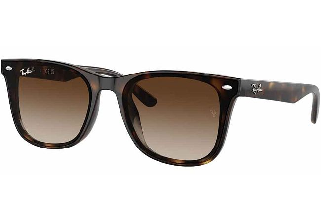 RAY BAN 4420 71013