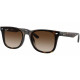 RAY BAN 4420 71013